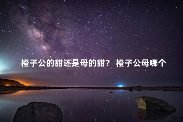 橙子公的甜还是母的甜？ 橙子公母哪个甜